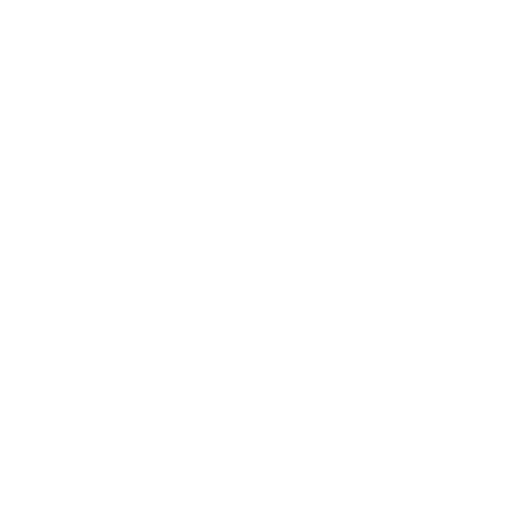 SEO Expert